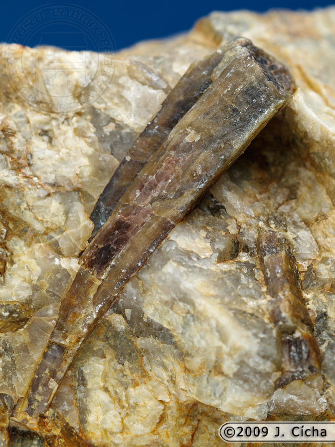 andalusit.jpg - lokalita: Kloub u Protivína | délka krystalu: 3,5 cm | historický sběr | sbírky Prácheňského muzea v Písku