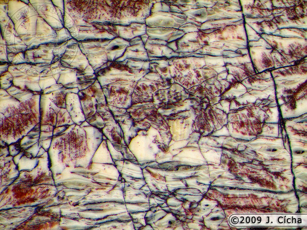serpentinit.jpg - lokalita: Lhenice | šířka záběru: 3,4 mm | sběr: J. Blecha | sbírky Prácheňského muzea v Písku