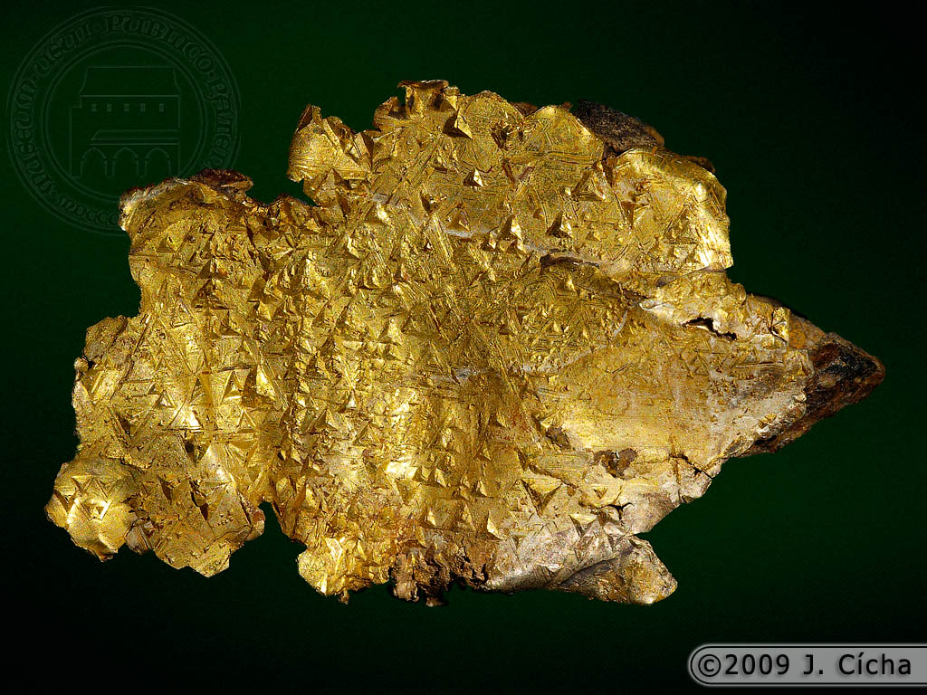 zlato_1.jpg - lokalita: Křepice | rozměry vzorku: 46x31 mm | historický sběr | sbírky Prácheňského muzea v Písku